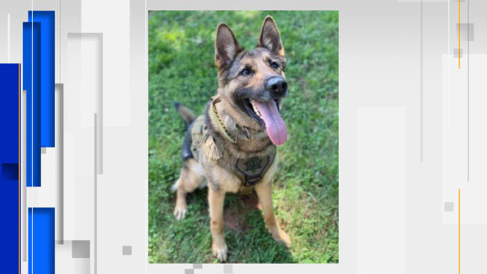 Franklin County Sheriff's Office remembers beloved K-9 after unexpected death - Vimarsana News
