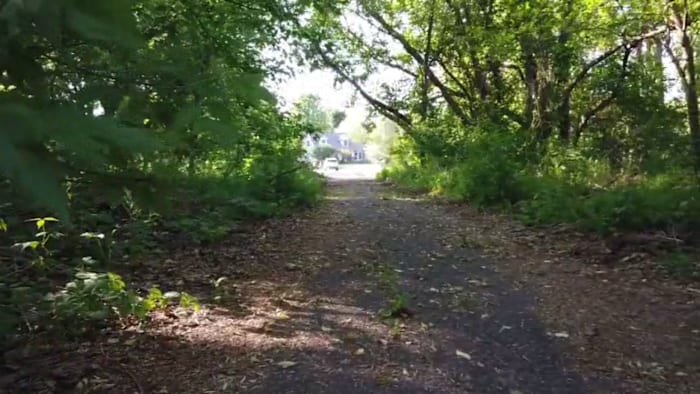 Man arrested after allegedly trying to lure 8-year-old girl into woods in Livingston County