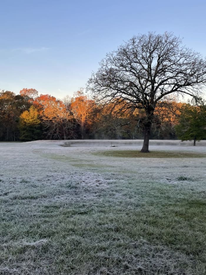What makes Houston's winter solstice special this year - Vimarsana News