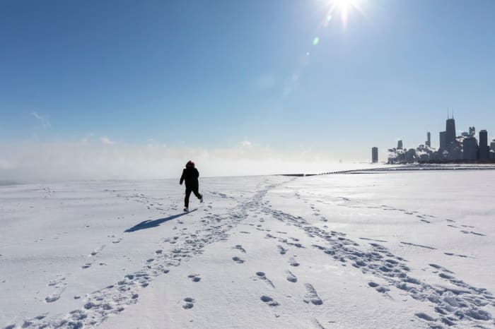 Warmer winters mean less ice on Lake Michigan, hurting lake trout and whitefish - Vimarsana News
