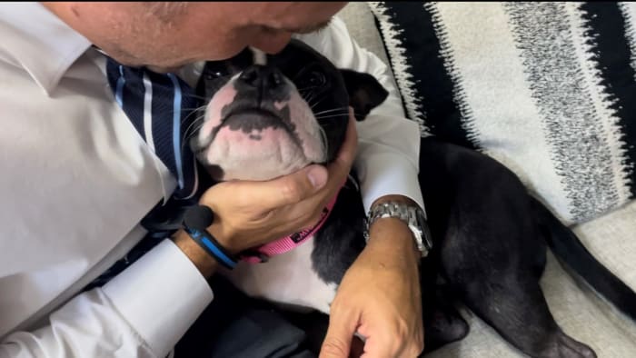 We love a good pupdate: Where’s the dog Trooper Steve rescued on patrol now?