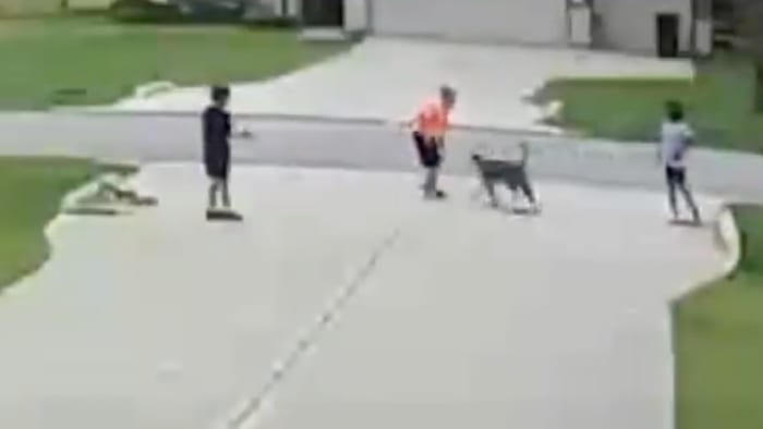 Man saves child from dog attack