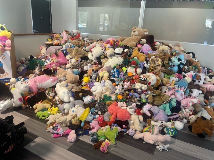 Einheimischer Junge sammelt 5.951 Stoffspielzeuge für ukrainische Kinder