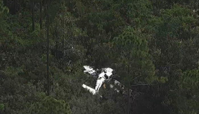 2 die after airplane crashes into wooded area near St. Augustine airport - Vimarsana News
