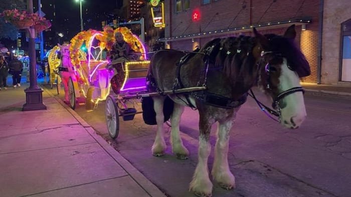 Petition circulates to ban horse-drawn carriages; Owners of