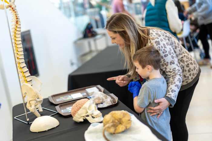 Fralin Biomedical Research Institute’s 12th Annual Brain School