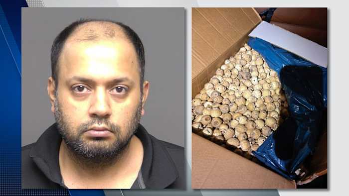 Michigan border stop busts driver with 20 kilos of
