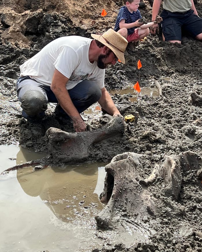 Mastodon remains found on Michigan’s west side