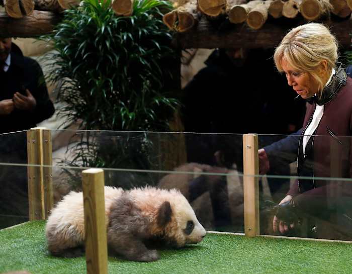 Image for French first lady Brigitte Macron visits an old friend in China: A giant panda called Yuan Meng