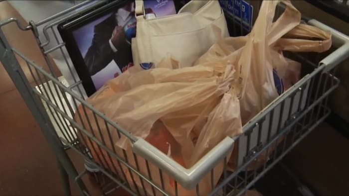 Walgreens Reusable Bag Quart
