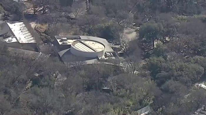 Clouded leopard escapes habitat at Dallas-area zoo, report says