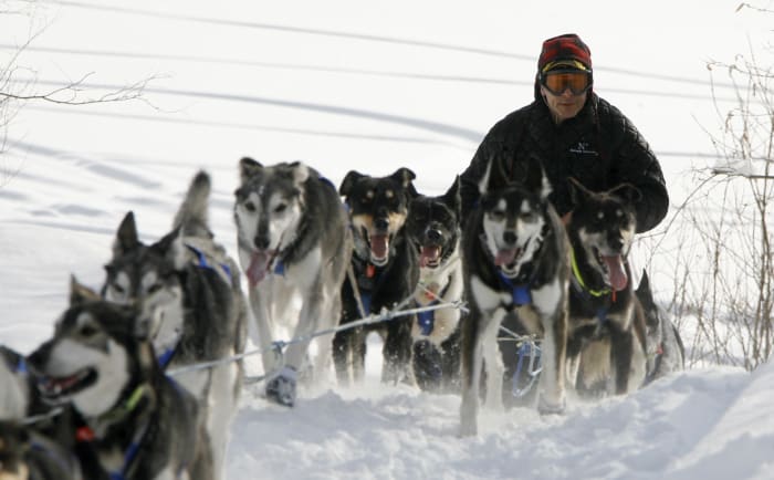 "A little scary:" Iditarod begins with smallest field ever