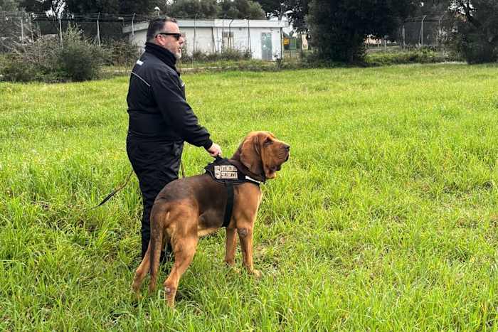 Italy outraged at killing of police bloodhound, found dead after eating food laced with nails