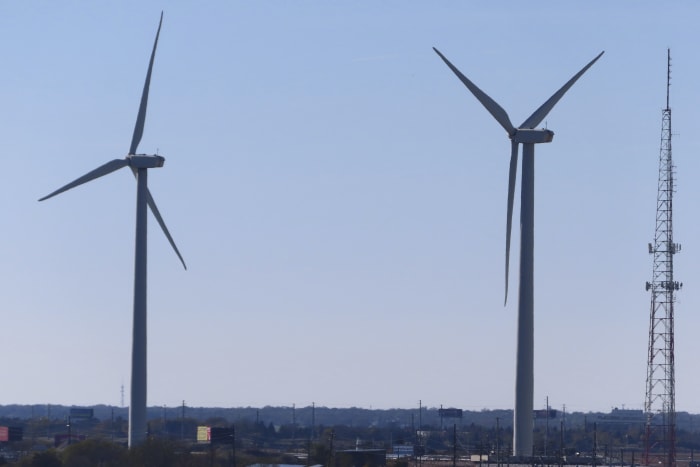 U.S. sets plans to protect endangered whales near offshore wind farms; firms swap wind leases - Vimarsana News