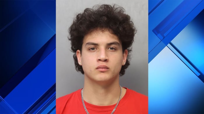 North Miami man accused of punching dog 10 times, abusing dogs in crate