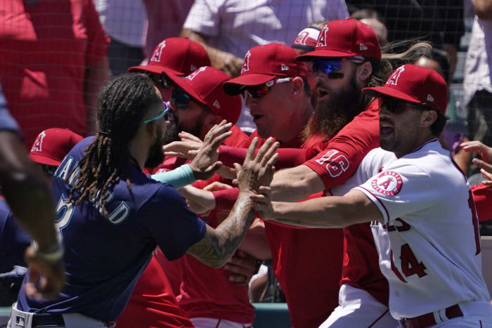 Anthony Rendon grabs hold of MLB fan's jersey and attempts to slap