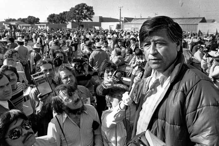Institutional Decay and the Erosion of Social Capital A Forensic Analysis of the Cesar Chavez Allegations