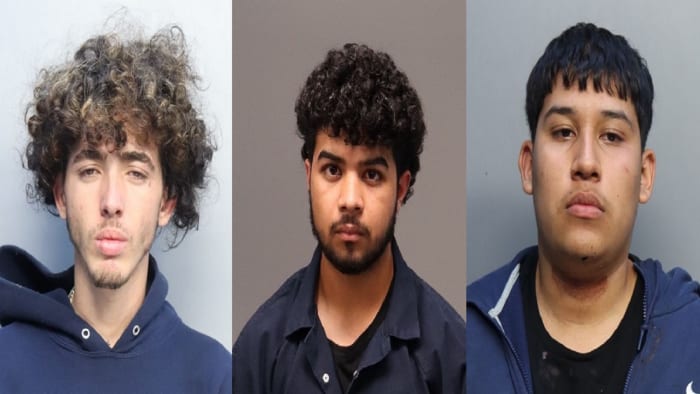 7 arrested in connection with street racing crackdown in Miami-Dade County - WPLG Local 10