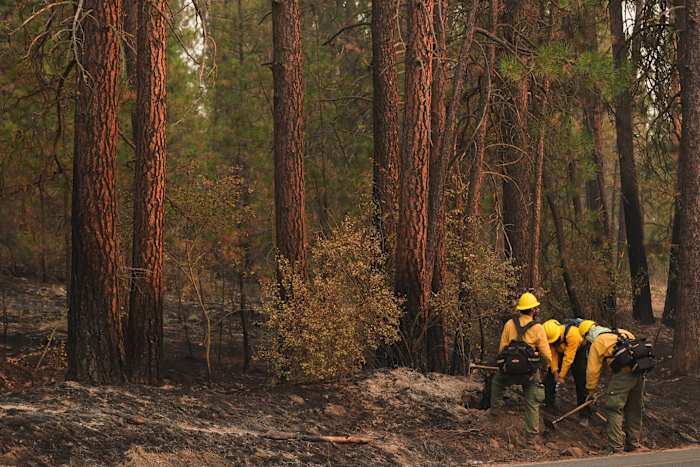 Urgent Warning: Wildland Firefighters Face Danger from Smoke Supplement Risks