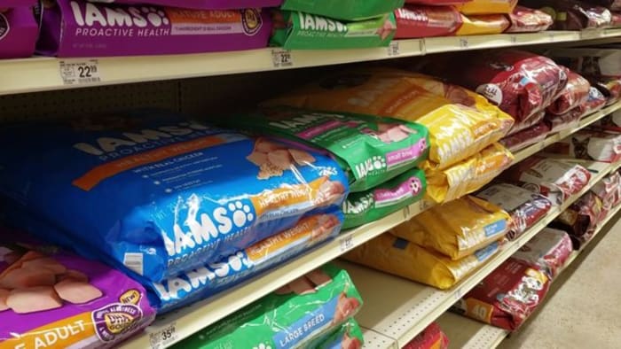 Floridians can add pet supplies to their hurricane tax ‘holiday’ shopping lists