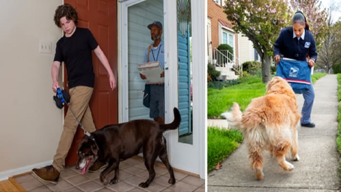 Miami makes Top 25 list of US cities with most dog attacks on postal workers Miami makes Top 25 list of US cities with most dog attacks on postal workers