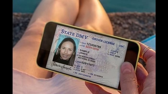 FloridaDaily.com on X: Florida Drivers Licenses for Illegal