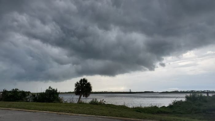Weather pattern change will bring significant relief to Central Florida allergy sufferers