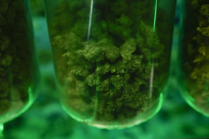 Marijuana could be classified as a Schedule 3 drug, here's what that means - Vimarsana News