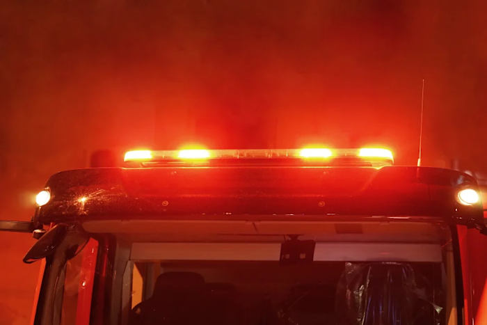 'They didn't deserve this': Fire kills nearly every animal at Florida wildlife center - Vimarsana News