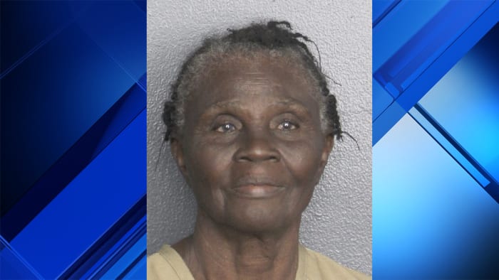 Elderly Pompano Beach woman arrested after allegedly setting cat on fire - Vimarsana News