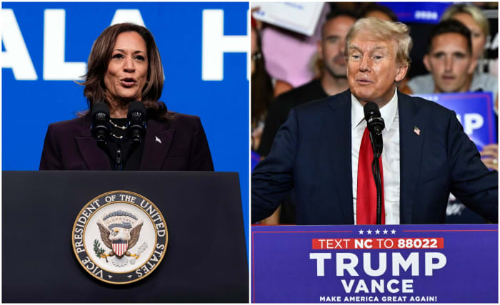 New Michigan poll shows where Trump-Harris race stands after Biden decision