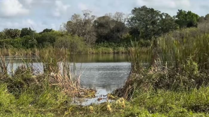 Skeletal remains discovered at Florida lake, could be ‘historically significant’