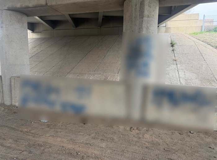 ‘It’s unsettling’: Sterling Heights police arrest 2 after swastikas spray painted in several spots