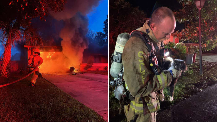 2 cats rescued in Winter Springs garage fire