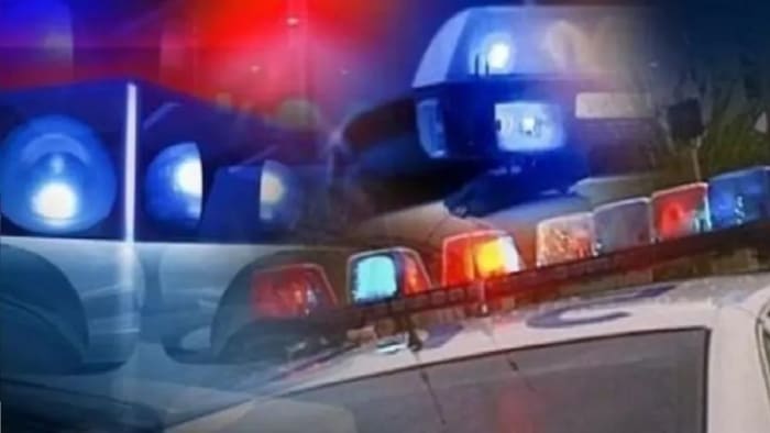 Man, cattle dead after Botetourt County car crash - Vimarsana News