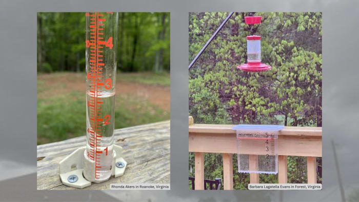 Has your backyard gotten heavy rain, flooding? Show us via Pin It! - Vimarsana News