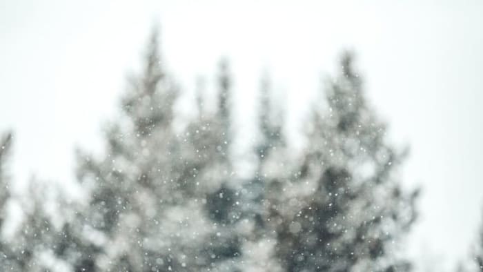 Morning 4: Winter storms taking aim at SE Michigan to end the week — and other news Morning 4: Winter storms taking aim at SE Michigan to end the week — and other news