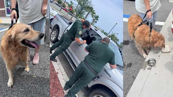 Nassau County deputies share reminder as summer heat swelters after rescuing pup...