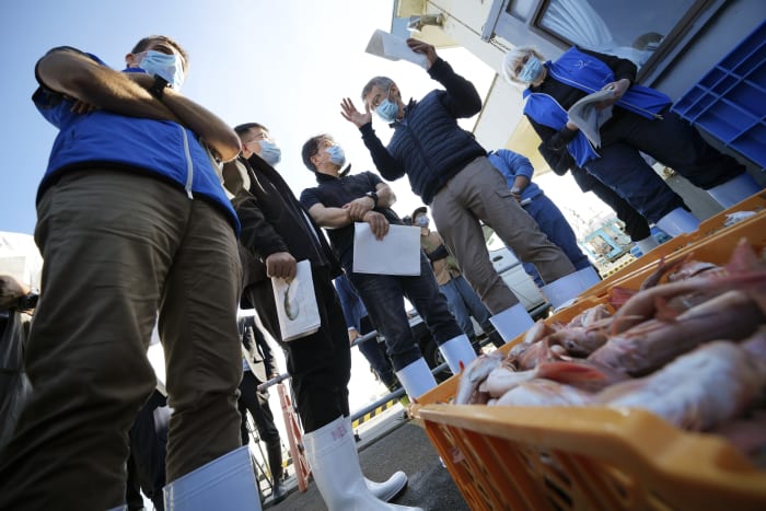 IAEA team gathers marine samples near Fukushima as treated radioactive water is released into sea