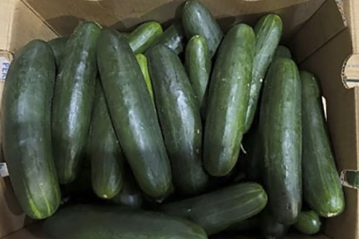 Salmonella outbreak caused by cucumbers sickens 9 people in Michigan and 449 in the US