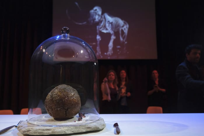 Elephant in the dining room: Startup makes mammoth meatball - Vimarsana News