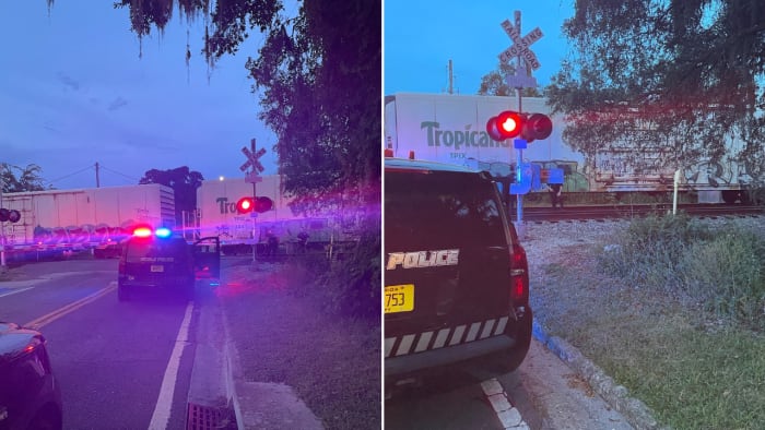 Man fatally struck by train at Ocala railroad crossing