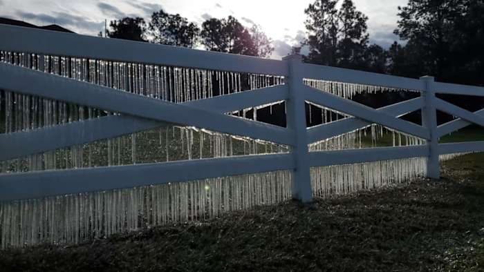 FLORIDA FREEZE GUIDE: Everything to know about rare cold, tips and more