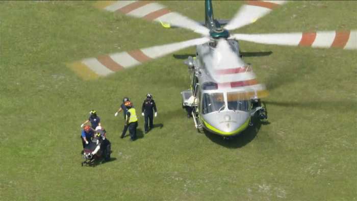 Two Women Seriously Injured in Dog Attacks in Holyoke, Hialeah