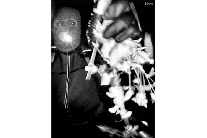 গুথরি তদন্ত 11 দিন পরে কিছু ক্লু খুঁজে পায়, তবুও প্রায়শই অপ্রত্যাশিতভাবে কেস উঠে আসে