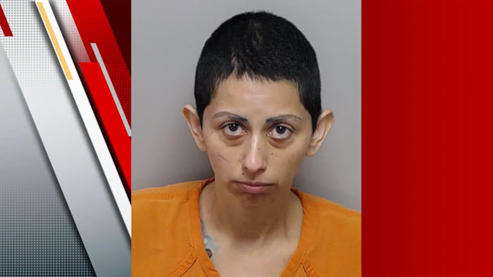 <a href="https://www.ksat.com/news/local/2026/08/25/records-woman-indicted-on-7-charges-in-death-of-2-children-found-stabbed-inside-burning-vehicle/" target="_blank">Records: Woman indicted on 7 charges in death of 2 children found stabbed inside burning vehicle</a>