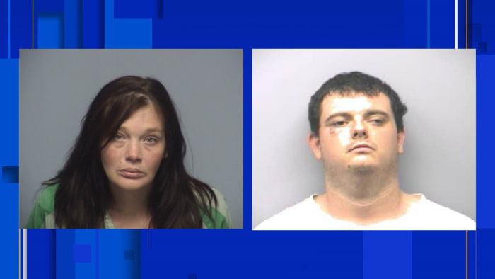 Trial dates set for Roanoke Co. pair arrested after dog died in parked car - Vimarsana News