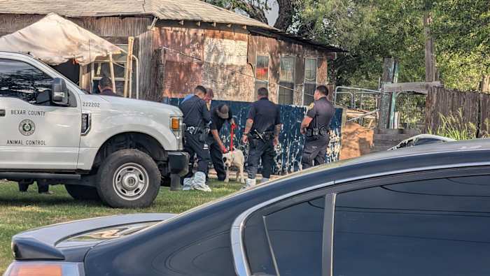 18 abandoned dogs seized from far SW Bexar County property once described as 'puppy mill'