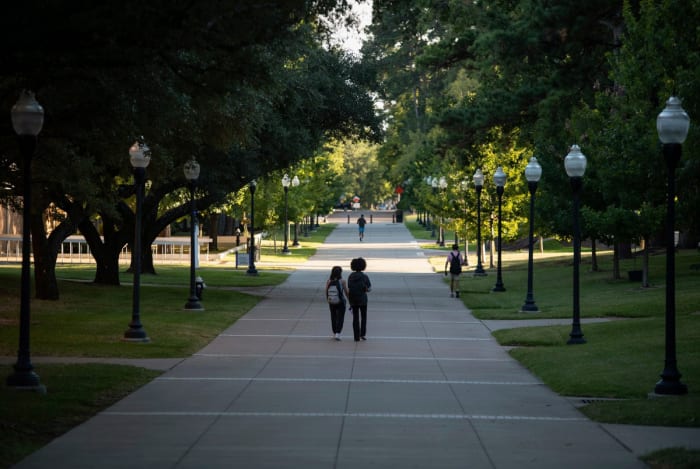 Texas lawmakers find consensus on bill banning diversity, equity and inclusion offices in public universities - Vimarsana News