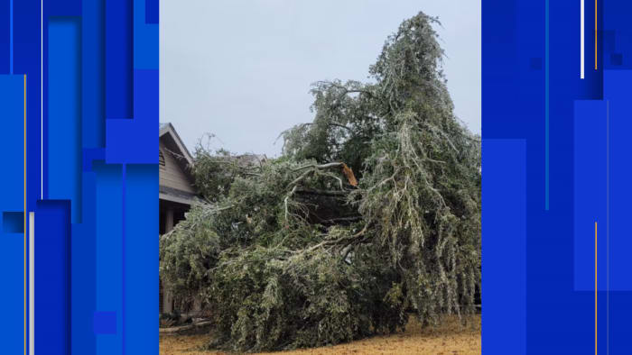 Does insurance cover auto or home damage from broken tree limbs due to ice?